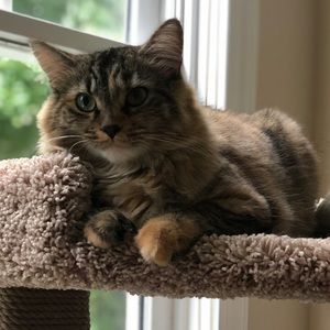 Meet your Posher, Liz